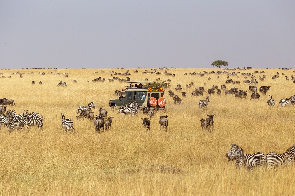 Kenia, Tanzania