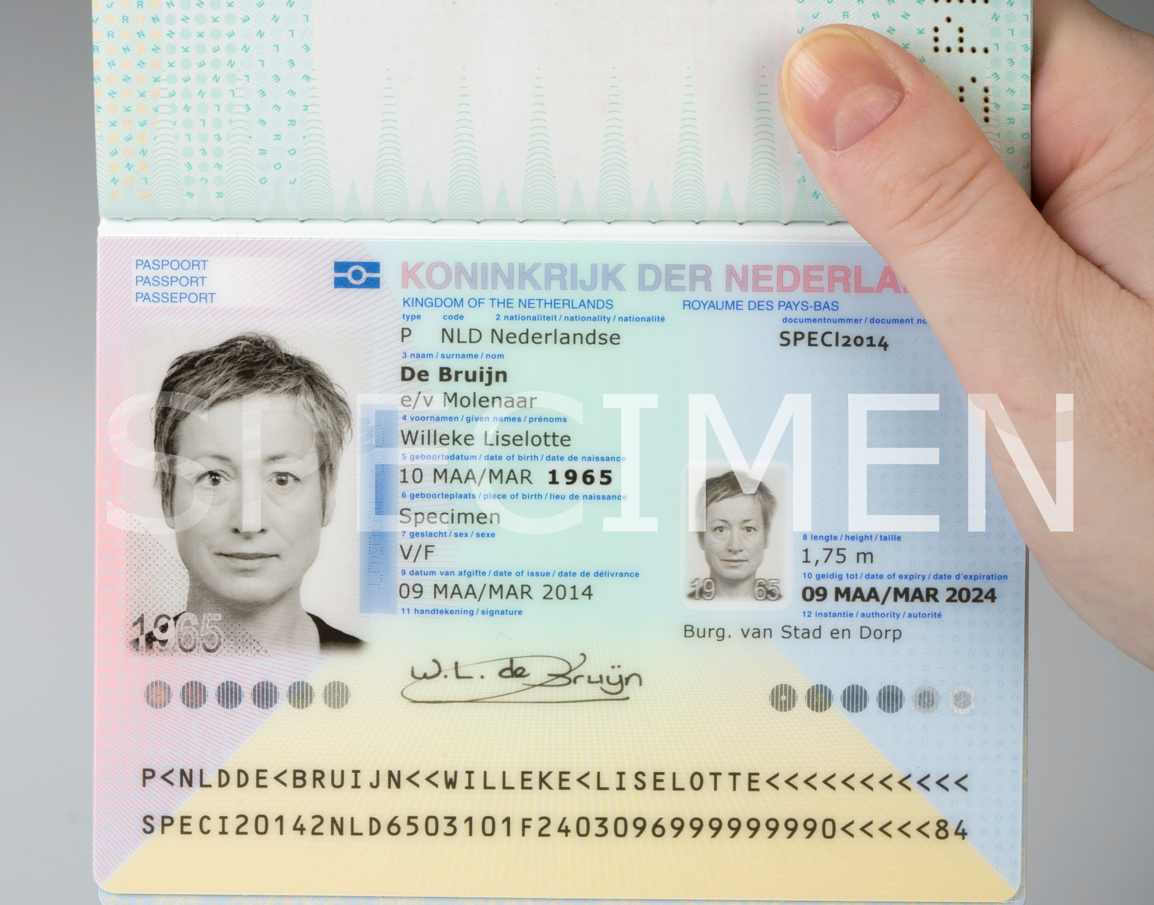 Paspoort Voorbeeld Allochtoon Vrogue co