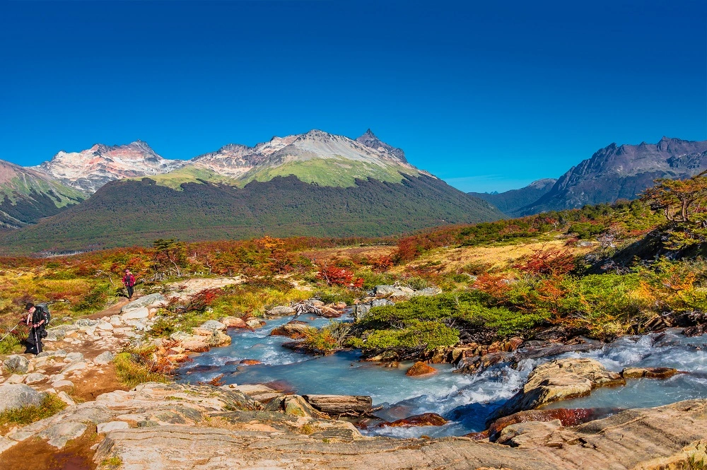 Tierra del Fuego Nationaal Park Argentinië 