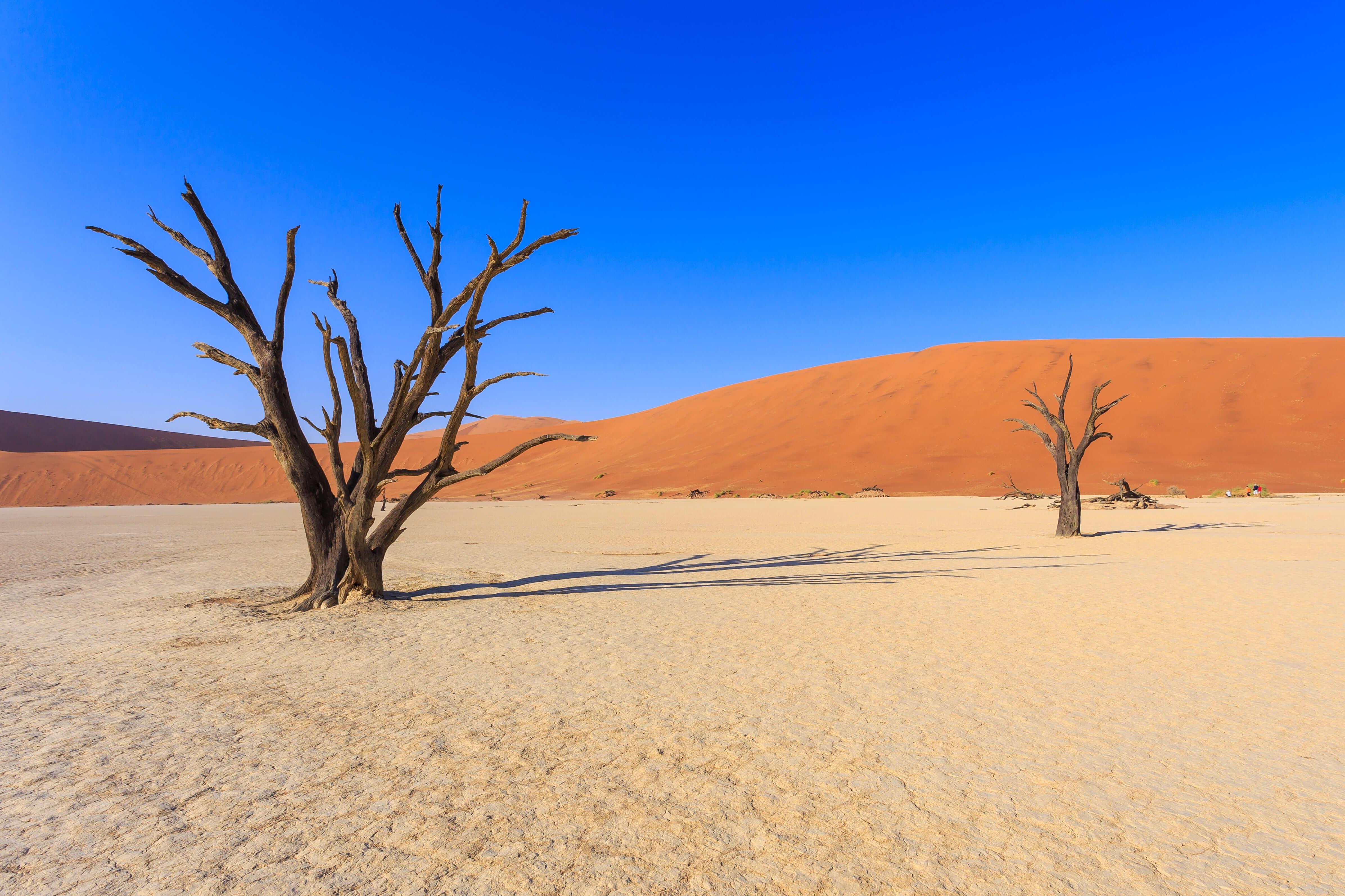 Oranje duinen en landschap Namibië 